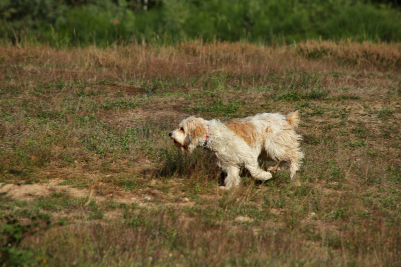 ./Galerie/Tiere/Meggie//20190914_154316_IMG_5657.jpg