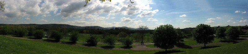 ./Galerie/Umgebung/Rheinaue//rheinaue_pano.jpg