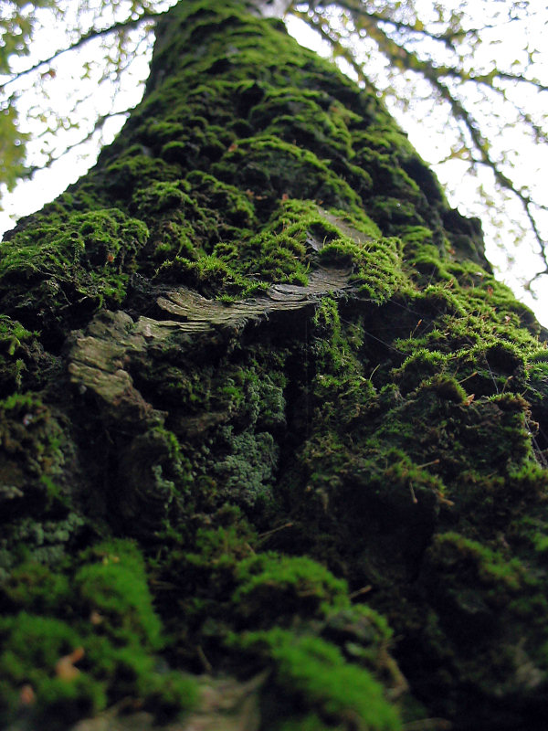 ./Galerie/Umgebung/Siebengebirge//IMG_3301.jpg