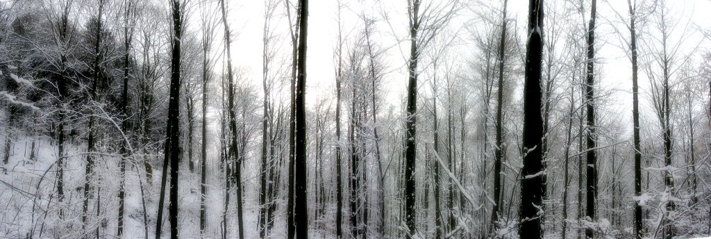 ./Galerie/Umgebung/Siebengebirge//oelberg.jpg