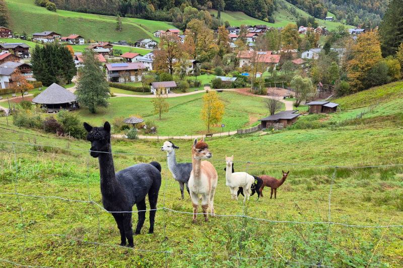 ./Galerie/Urlaub/Deutschland/Bayern/Berchtesgadenerland2024//20241008_101647.jpg