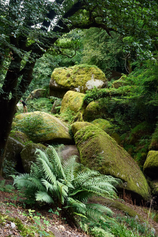 ./Galerie/Urlaub/Frankreich/Bretagne//20160807_151923_DSC01954.JPG