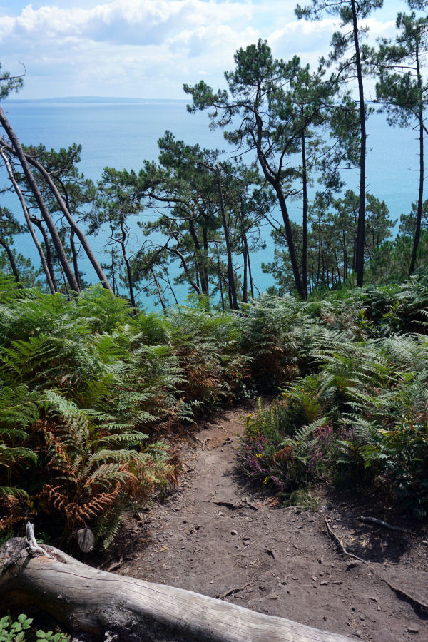 ./Galerie/Urlaub/Frankreich/Bretagne//20160810_133659_DSC02166.JPG