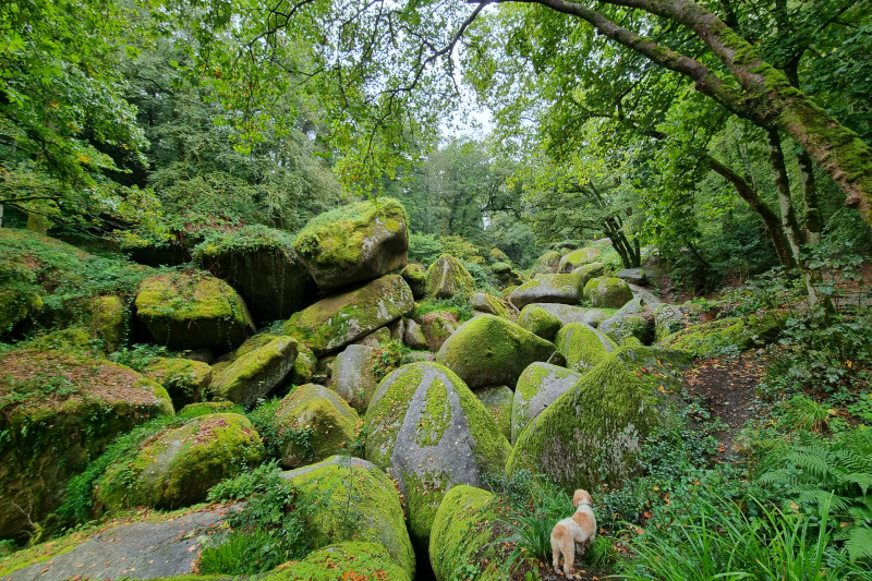 ./Galerie/Urlaub/Frankreich/Bretagne2023//20231018_170100.jpg