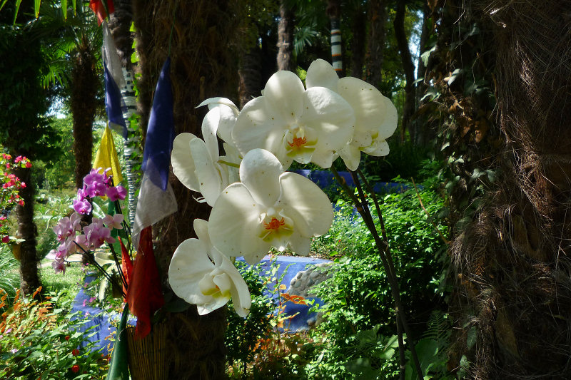 ./Galerie/Urlaub/Italien/Gardasee//20110808_125103-p1030680.jpg