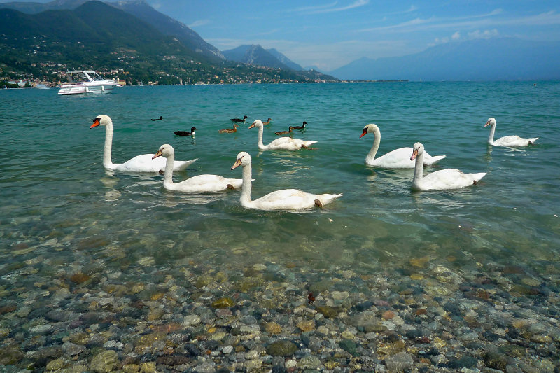 ./Galerie/Urlaub/Italien/Gardasee//20110812_130111-p1040049.jpg