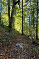 Berchtesgadenerland2024