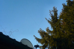 ./Galerie/Irgendwieanders/Diesunddas/20080224_164712-DSC00045_web.jpg