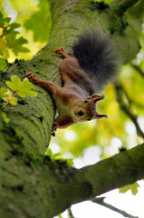 ./Galerie/Umgebung/Rheinaue/20121003_143932-IMG_4362_bearbeitet.jpg