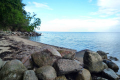 ./Galerie/Urlaub/Daenemark/vejlbyfed2013/20130812_130452-P1050275.jpg