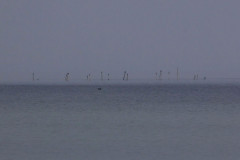 ./Galerie/Urlaub/Daenemark/vejlbyfed2013/20130822_114720-IMG_5359.jpg