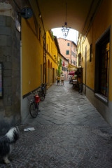 ./Galerie/Urlaub/Italien/Toskana/20140729_174328-P1060992.JPG