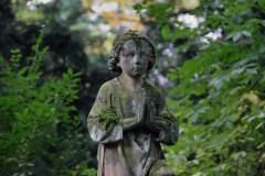 ./Galerie/Umgebung/Melatenfriedhof/20141006_141448_IMG_6005.JPG