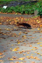 ./Galerie/Umgebung/Melatenfriedhof/20141012_120434_IMG_6056.JPG