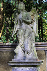 ./Galerie/Umgebung/Melatenfriedhof/20141012_120603_IMG_6057.JPG