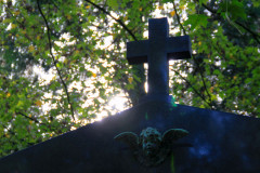 ./Galerie/Umgebung/Melatenfriedhof/20141012_123927_IMG_6100.JPG