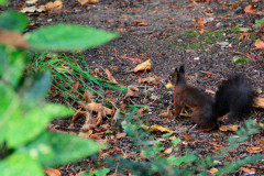 ./Galerie/Umgebung/Melatenfriedhof/20141012_125647_IMG_6130.JPG