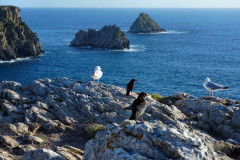 ./Galerie/Urlaub/Frankreich/Bretagne/20160804_202010_DSC01692.JPG