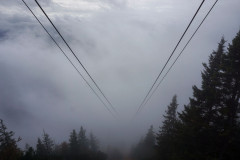 ./Galerie/Urlaub/Deutschland/Bayern/20161019_123328_DSC02655.JPG