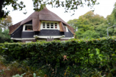 ./Galerie/Urlaub/Holland/Bergen/20170930_162650_IMG_0417.jpg