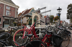 ./Galerie/Urlaub/Holland/Bergen/20171002_152649_IMG_0784.jpg