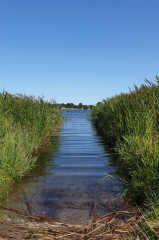 ./Galerie/Urlaub/Deutschland/Schleswigholstein/Schlei/20210823_111041.jpg