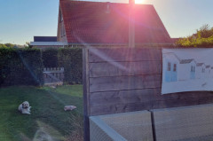 ./Galerie/Urlaub/Holland/Westenschouwen/Westenschouwen2021/20210924_180004.jpg