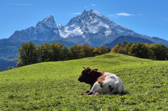 ./Galerie/Urlaub/Deutschland/Bayern/Berchtesgadenerland2024/20241007_135102.jpg