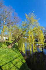 ./Galerie/Urlaub/Holland/Bergen/Bergen2025/20250404_173156.jpg