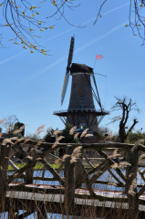 ./Galerie/Urlaub/Holland/Bergen/Bergen2025/20250406_131154.jpg