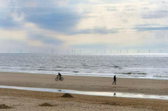 ./Galerie/Urlaub/Holland/Bergen/Bergenaanzee2025/20250503_165231.jpg