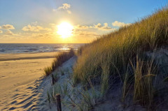 ./Galerie/Urlaub/Holland/Bergen/Bergenaanzee2025/20250503_201431.jpg