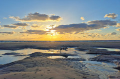 ./Galerie/Urlaub/Holland/Bergen/Bergenaanzee2025/20250505_202212.jpg