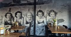 ./Galerie/Urlaub/Holland/Bergen/Bergenaanzee2025/20250505_202626.jpg