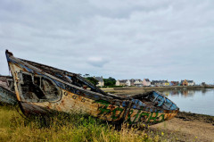 ./Galerie/Urlaub/Frankreich/Bretagne2025/20250609_132726(1).jpg
