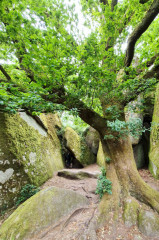 ./Galerie/Urlaub/Frankreich/Bretagne2025/20250616_125139(1).jpg