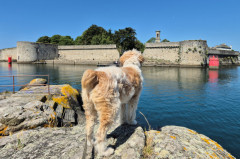 ./Galerie/Urlaub/Frankreich/Bretagne2025/20250618_114247(1).jpg
