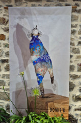 ./Galerie/Urlaub/Frankreich/Bretagne2025/20250619_121355(1).jpg