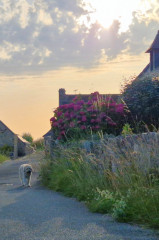 ./Galerie/Urlaub/Frankreich/Bretagne2025/20250620_204146(1).jpg
