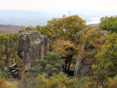 ./Galerie/Umgebung/Siebengebirge/IMG_3430.jpg