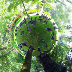 ./Galerie/Irgendwieanders/Planets/planet_graugaense_rheinaue.jpg