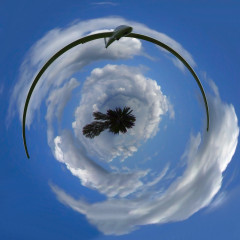 ./Galerie/Irgendwieanders/Planets/planet_segler_20080501_133236-dscf4159.jpg