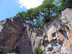 ./Galerie/Umgebung/Siebengebirge/stenzelberg_sued4.jpg